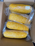 京鮮生 東北黃玉米凈重3.6斤 8根*220g+ 真空包裝加熱即食 源頭直發(fā) 曬單實(shí)拍圖