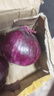 滇鮮生新鮮紫皮洋蔥優(yōu)質(zhì)圓蔥辛辣味濃產(chǎn)地直供炒菜涼拌廚房必備 1斤（帶箱裝） 曬單實(shí)拍圖