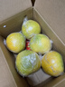迭果常山胡柚正宗浙江衢州原產(chǎn)胡柚常山微苦新鮮水果柚子 9斤普通裝 一級果王100-110mm 曬單實(shí)拍圖