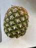 都樂(lè )Dole 菲律賓無(wú)冠鳳梨 菠蘿 中果2個(gè)*800g起 酸甜可口源頭直發(fā)包郵 曬單實(shí)拍圖