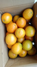 庾豐 江西贛南臍橙新鮮橙子  新鮮水果整箱孕婦手剝橙 當季現摘贛州橙 10斤裝-凈果9斤 單果110-220g 源頭產(chǎn)地直發(fā) 品質(zhì)甄選 曬單實(shí)拍圖