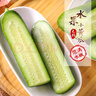 山東壽光水果黃瓜生吃脆新鮮荷蘭青瓜當季無(wú)刺小黃瓜源頭直發(fā) 精品水果黃瓜凈重 4.5斤 曬單實(shí)拍圖