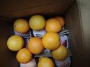 春公子正宗四川愛(ài)媛38號果凍橙 時(shí)令水果橘子 當季桔子應季柑橘禮盒 整箱5斤裝一級果70-85mm凈重4.5斤+ 曬單實(shí)拍圖