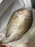 仙泉湖三去白蕉海鱸魚(yú)1斤/條凈膛冷凍刺少肉厚珠海特產(chǎn)500g生鮮食材 曬單實(shí)拍圖