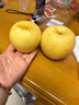 京鮮生山東煙臺維納斯黃金蘋(píng)果凈重4.5斤裝單果80-85mm水果禮盒源頭直發(fā) 曬單實(shí)拍圖