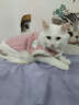 OIMG貓咪衣服保暖秋冬季小貓衣服保暖背心外套寵物狗狗小貓幼貓防掉毛 粉色兔子毛絨背心 L：胸圍47CM【建議8-12斤】 曬單實(shí)拍圖