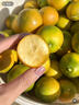 儲褚云南大理脆蜜小金桔 新鮮滑皮蜜桔 順豐包郵 應季水果禮盒裝桔子 2-2.5斤中果（單果20-27g/個(gè)）30-50個(gè) 曬單實(shí)拍圖