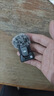 大疆 DJI Mic Mini 迷你無(wú)線(xiàn)高品音質(zhì) 降噪領(lǐng)夾麥克風(fēng) 戶(hù)外采訪(fǎng)直播vlog手機相機原聲級紐扣式收音麥 【手機可用】一拖二 含Lightning轉接頭【適配安卓+蘋(píng)果全系列】 曬單實(shí)拍圖