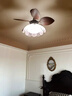 紅品愛(ài)家法式復古客廳風(fēng)扇燈中古餐廳吊扇燈全光譜護眼一體靜音臥室電扇燈 直徑85CM三色光(芭蕉葉花朵風(fēng)扇） 曬單實(shí)拍圖
