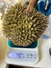 榴小七黑刺榴蓮D200馬來(lái)西亞進(jìn)口液氮冷凍水果禮盒 甄選果 嘗鮮2.0-2.5斤【保4房】當季新果 曬單實(shí)拍圖