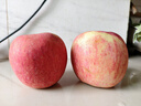 佳農陜西洛川高原蘋(píng)果脆甜多汁25年新鮮紅富士蘋(píng)果家庭裝多規格 85mm 4.5斤 曬單實(shí)拍圖
