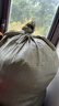 巢極佳品 大容量加厚蛇皮袋 麻袋編織袋搬家袋快遞打包袋子口袋 曬單實(shí)拍圖