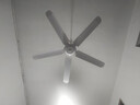 美的（Midea）吊扇工業(yè)電風(fēng)扇48/56吋家用客廳電風(fēng)扇輕音鐵葉大風(fēng)力宿舍樓頂扇 FC140-DD(56寸)五葉大機頭款 曬單實(shí)拍圖
