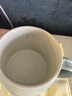 mokkom磨客養生壺 熱牛奶杯 辦公靜音養生杯0.5L 煮茶花茶銀耳 熱牛奶神器燒水壺辦公室燒水杯 熱奶杯 淺杉綠 0.5L （送勺子） 曬單實(shí)拍圖