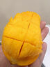 味果生海南小臺農芒果9斤新鮮小臺芒當季熱帶水果現摘甜心小芒果整箱 5斤凈重4.5斤 中果 曬單實(shí)拍圖