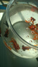 精品小金魚(yú)活魚(yú)冷水魚(yú)小金魚(yú)活魚(yú)淡水錦鯉觀(guān)賞魚(yú)好養耐活魚(yú)不加溫 4-6cm隨機金魚(yú)12條 包損10備損2 曬單實(shí)拍圖