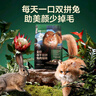 網(wǎng)易嚴(yán)選全價(jià)凍干雙拼兔肉貓糧 成幼貓糧鮮肉助消化長(zhǎng)肉亮毛改善掉毛10kg 曬單實(shí)拍圖