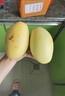 【雙十一熱賣(mài)】玉芒水果芒果新鮮上市 帶箱2斤【單果300g+】 曬單實(shí)拍圖