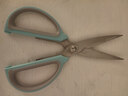 不銹鋼家用剪刀辦公剪裁縫剪多用途裁布剪 家用裁縫剪刀合集 藍色雙色剪刀*大號一把 特價(jià) 曬單實(shí)拍圖
