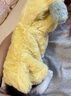 阿莫爾貓咪衣服搞怪香蕉變身裝秋冬季布偶藍貓銀漸層寵物狗狗絨衣加厚 大香蕉 M 曬單實(shí)拍圖