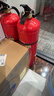 援邦（YUANBANG）25新國標(biāo)商用驗(yàn)收干粉滅火器4公斤消防3c認(rèn)證京東自營家貨車載4kg 曬單實(shí)拍圖