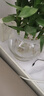 以琛水培植物玻璃瓶 綠蘿花瓶花盆玻璃圓球水養魚(yú)缸器皿容器送定制欄 25D圓球 曬單實(shí)拍圖