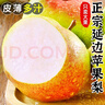 宋玉今蘋(píng)果梨當季新鮮水果禮盒大果皮薄多汁延邊龍井特產(chǎn)水果梨現摘現發(fā) 蘋(píng)果梨大果12果8斤左右*1盒 曬單實(shí)拍圖
