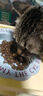 網(wǎng)易嚴選全價(jià)凍干雙拼乳鴿貓糧 成幼貓獵食主糧鮮肉助免疫消化美毛1.5kg 曬單實(shí)拍圖