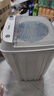 志高【熱銷(xiāo)Top1】脫水機單甩干脫水機干桶甩干機小型迷你家用甩干桶出租房宿舍大容量脫水桶烘干 8.6KG 【不銹鋼桶加厚款】質(zhì)保三年 曬單實(shí)拍圖