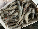 京鮮港 厄瓜多爾白蝦凈重3斤加大號45-60只/盒大蝦鹽凍家庭聚餐 曬單實(shí)拍圖