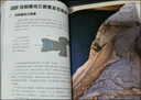 新華正版 新攝影筆記+攝影筆記 實(shí)戰篇 全套2冊 寧思瀟瀟作品 單本套裝任選 攝影基礎教程書(shū)籍入門(mén)進(jìn)階教材自學(xué) 全2冊 新攝影筆記+攝影筆記 實(shí)戰篇 曬單實(shí)拍圖