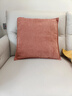 茗芮居北歐風(fēng)格沙發(fā)抱枕輕奢高級感可拆洗加厚雪尼爾抱枕沙發(fā)靠墊枕純色 加厚軟糯雪尼爾~柚橘 50*50cm含芯抱枕(品牌隱形拉鏈 曬單實(shí)拍圖