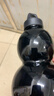 三棲虎黑神話(huà)·葫蘆水壺杯可背可提食品級大容量禮物時(shí)尚創(chuàng  )意潮流運動(dòng)水 太極八卦燙金貼紙+黑-神話(huà)葫蘆- 食品級PC+可裝熱水+防摔/防爆-750ml 曬單實(shí)拍圖