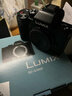 松下（Panasonic）Lumix G100D M43畫(huà)幅相機 M43卡口 微單相機 無(wú)反數碼相機 G100D+【12-60mm白盒】單鏡套裝 曬單實(shí)拍圖