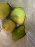 慶柚園江西井岡蜜柚子有機金沙柚新鮮孕婦水果脆甜爆汁金蘭白柚現摘現發(fā) 精品大果凈重18斤精挑細選（約12枚） 曬單實(shí)拍圖