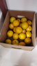 褚橙 云南冰糖橙  優(yōu)級果 L 10斤裝 單果約130g起 生鮮水果禮盒 曬單實(shí)拍圖