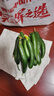 壽光水果黃瓜山東時(shí)令果蔬小青瓜蔬菜火鍋食材清脆爽口產(chǎn)地直發(fā) 水果黃瓜帶箱2斤【解饞】 曬單實(shí)拍圖