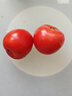 正宗沙瓤西紅柿水果番茄自然熟新鮮蔬菜生鮮減肥單果80g起 4斤 帶箱 曬單實(shí)拍圖