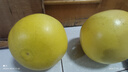 晟容果蔬福建平和紅心蜜柚琯溪三紅柚子新鮮時(shí)令紅心柚水果中秋禮盒裝送禮 5斤臻品果【約2-3顆】?jì)?.5斤 曬單實(shí)拍圖