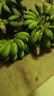 廣西小米蕉小香蕉自然熟迷你香蕉蘋(píng)果蕉小芭蕉新鮮水果特產(chǎn)雞蕉 小米蕉 9斤 泡沫箱打包 曬單實(shí)拍圖