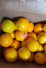 集南鮮 贛南臍橙 江西橙子新鮮現摘水果臍橙時(shí)令生鮮水果甜橙 水果禮盒 凈重9斤 甄選橙 單果70-80mm 曬單實(shí)拍圖