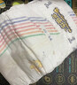 龍貓博士【源頭直發(fā)】驚喜紙尿褲試用裝L16片【8-11kg】尿不濕超薄透氣 曬單實(shí)拍圖