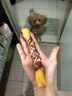 饞小汪狗狗磨牙棒真牛皮纏繞雞肉營(yíng)養酥脆中大型犬磨牙耐咬訓犬狗狗零食 混合短款3包【約17CM/根*6根】 曬單實(shí)拍圖