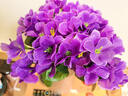 潤華年仿真紫羅蘭假花客廳掛墻上壁掛植物裝飾垂吊假花藤條藤蔓吊蘭吊籃 紫色紫羅蘭 無(wú)花籃 曬單實(shí)拍圖