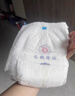 名典泰迪一體拉拉褲XL碼52片【12-15kg】嬰兒尿不濕超薄干爽尿褲男女通用 曬單實(shí)拍圖