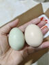 【熱銷(xiāo)百萬(wàn)單】正宗咸鴨蛋50g/枚飽滿(mǎn)流油生鮮超市早餐新鮮即食 【活動(dòng)專(zhuān)享】10枚 曬單實(shí)拍圖