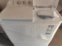 海爾半自動(dòng)洗衣機12公斤雙缸雙桶筒滾大容量家用波輪脫水機甩干機雙動(dòng)力一級能效以舊換新國家補貼20% 【新品12KG】新一級能效+雙缸洗脫分離+抗菌波輪 曬單實(shí)拍圖