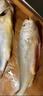 冰鮮部族大黃花魚(yú) 深海大黃魚(yú)海捕活凍鮮活大海魚(yú)鮮海鮮水產(chǎn) 【深海大黃花魚(yú)250g*4條】2斤裝 曬單實(shí)拍圖