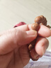 晶宇祥 精品藏式鳳眼菩提子手串佛珠手鏈男女手工匠人菩提籽原籽文玩 精工 曬單實(shí)拍圖