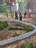 塑料柵欄花園圍欄菜園白色小籬笆庭院戶(hù)外幼兒園學(xué)校裝飾護欄圍擋 50cm長(cháng)X30cm高插地款(5片) 曬單實(shí)拍圖